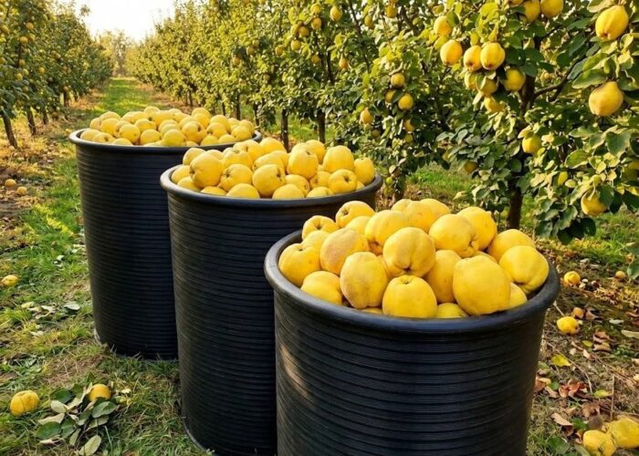 Plastični proizvodi - GHIBLIPLAST